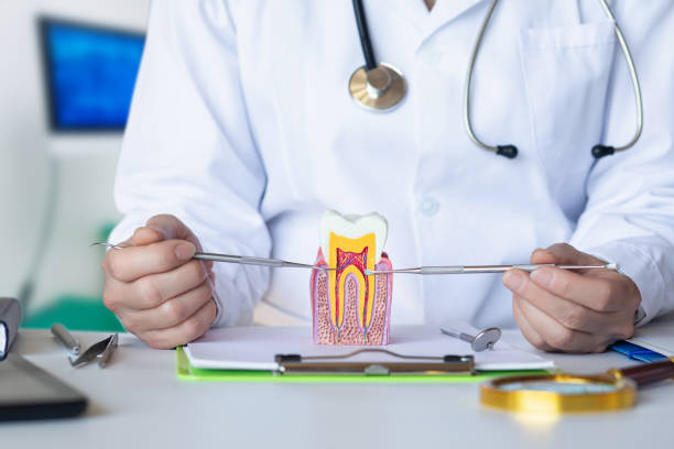 Best Broken or Cracked Tooth Emergency Dentist in Greenacres, FL